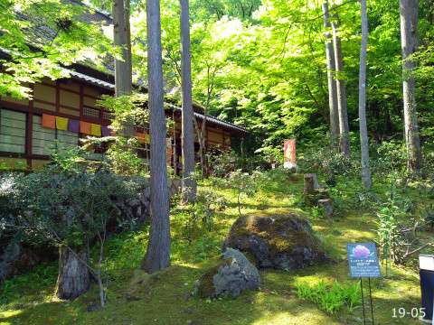 resize_IMG_20190512_091808