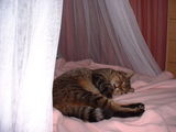 e38d687a.jpg