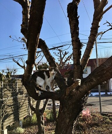 IMG_0953 (編集済み)