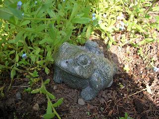 かえる様