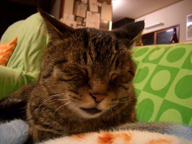 �ͤ��뤽����