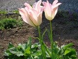 66a27979.jpg