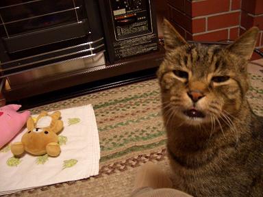 ȿ�ʤ�����