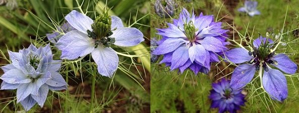 034