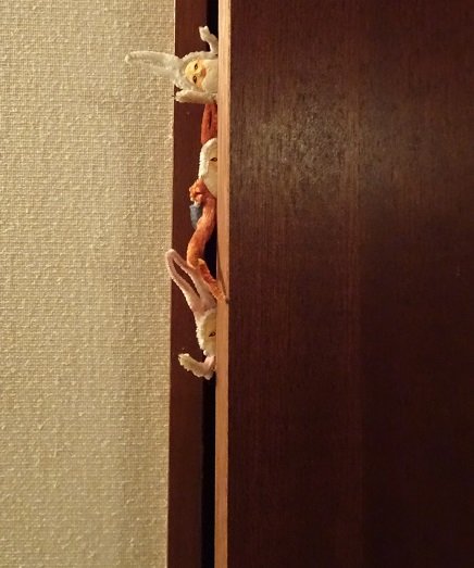DSC00037