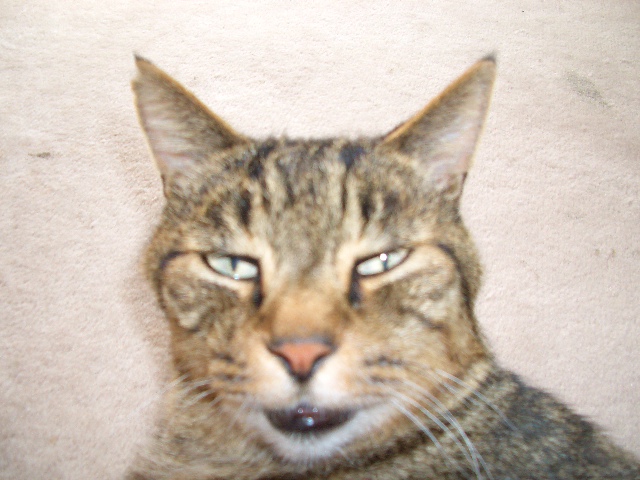 ���ʣ���