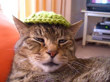 ���ӥ�����