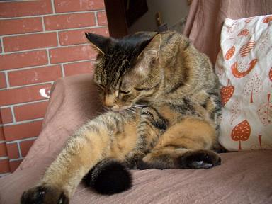 �ӤŤ�������