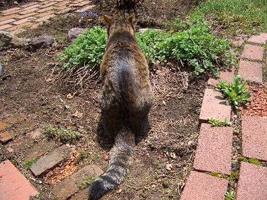 159
