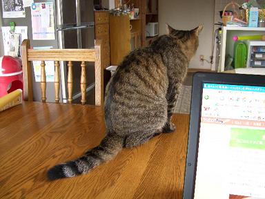 すね・・