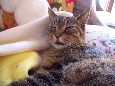 �ͤܤ�������