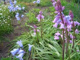 874f62e9.jpg