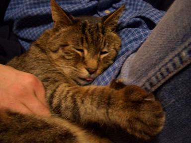 ���㤵��Ȱ��