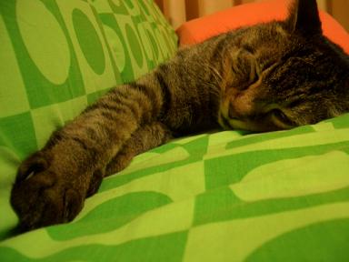 �������ʤ�����