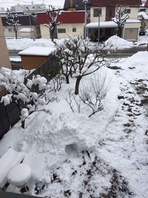 2月21日