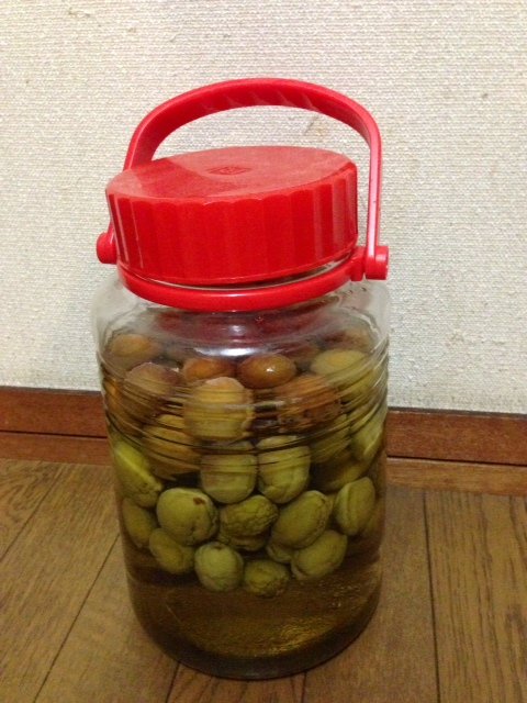 ume3