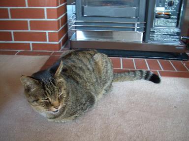 ���ȡ��֤�����