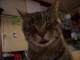 舌だしそーや