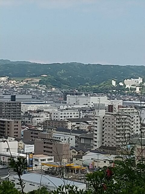 IMG_20220522_142738