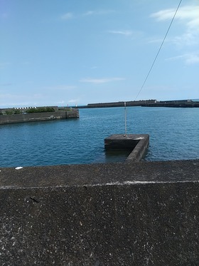 IMG_20210731_142225