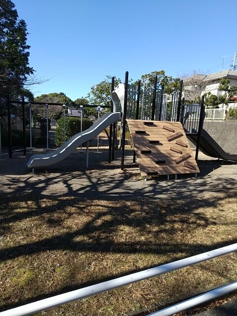 IMG_20230129_110924