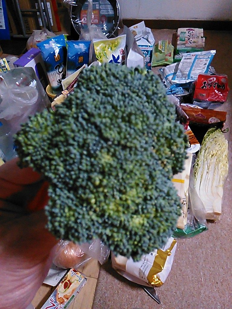 薄毛男性必見 ブロッコリーを食べよう のりたかblog