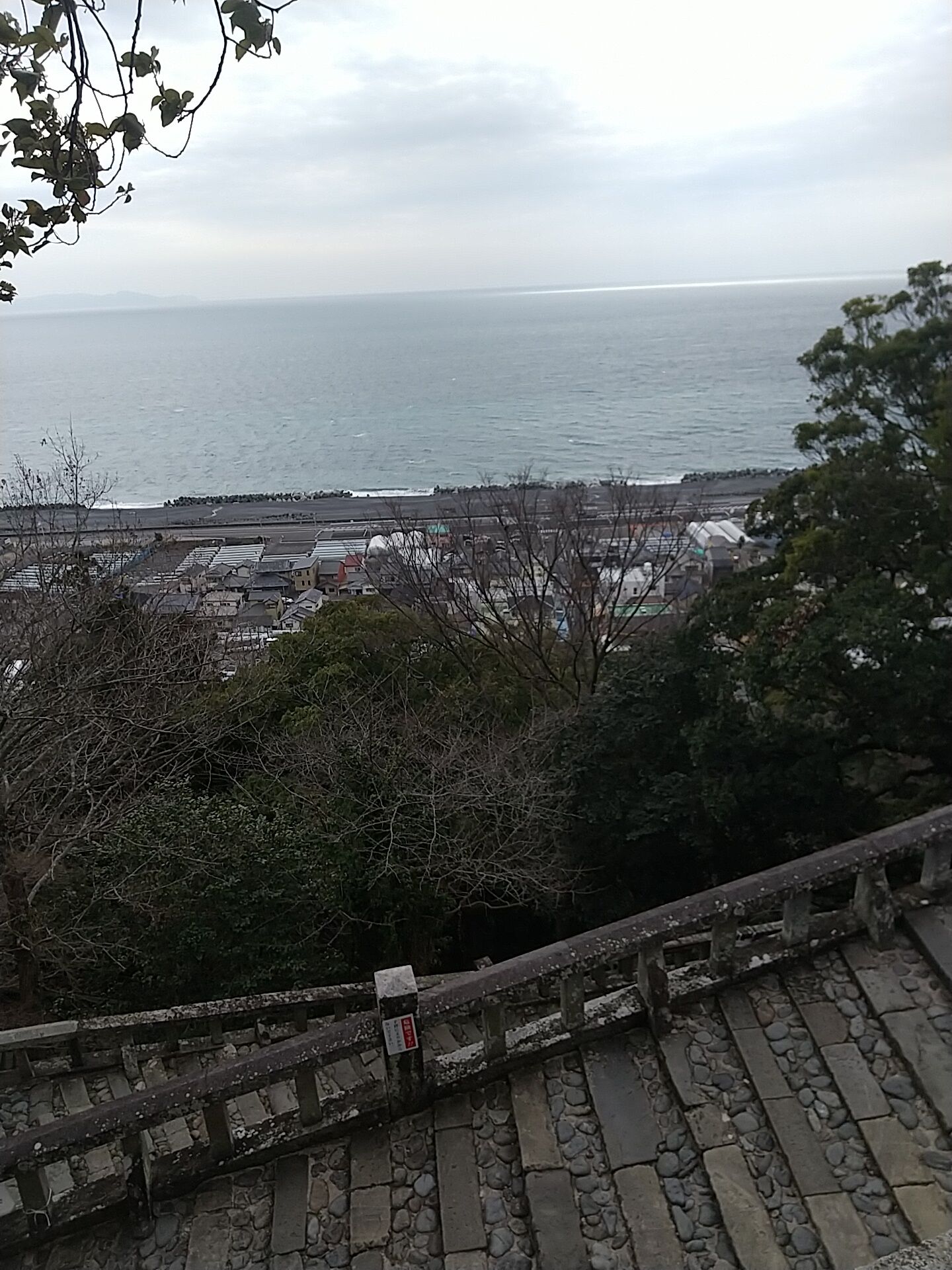 IMG_20220301_104308