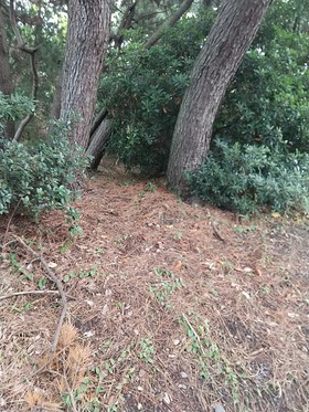 IMG_20210809_125427