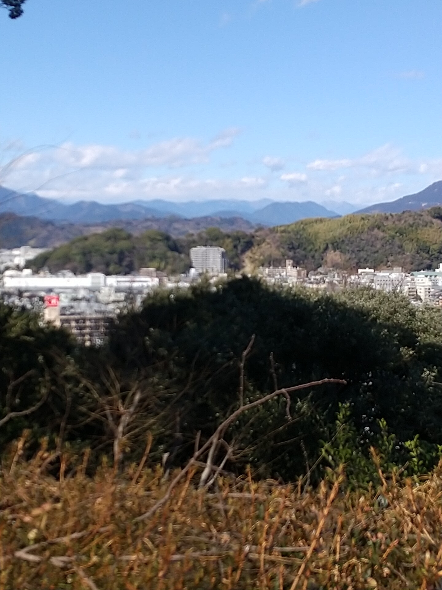 IMG_20230204_131500
