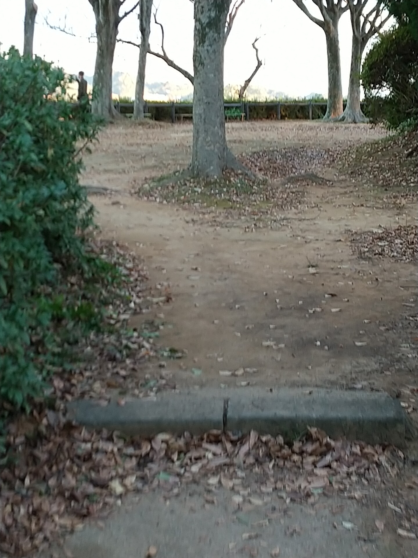 IMG_20211114_162243