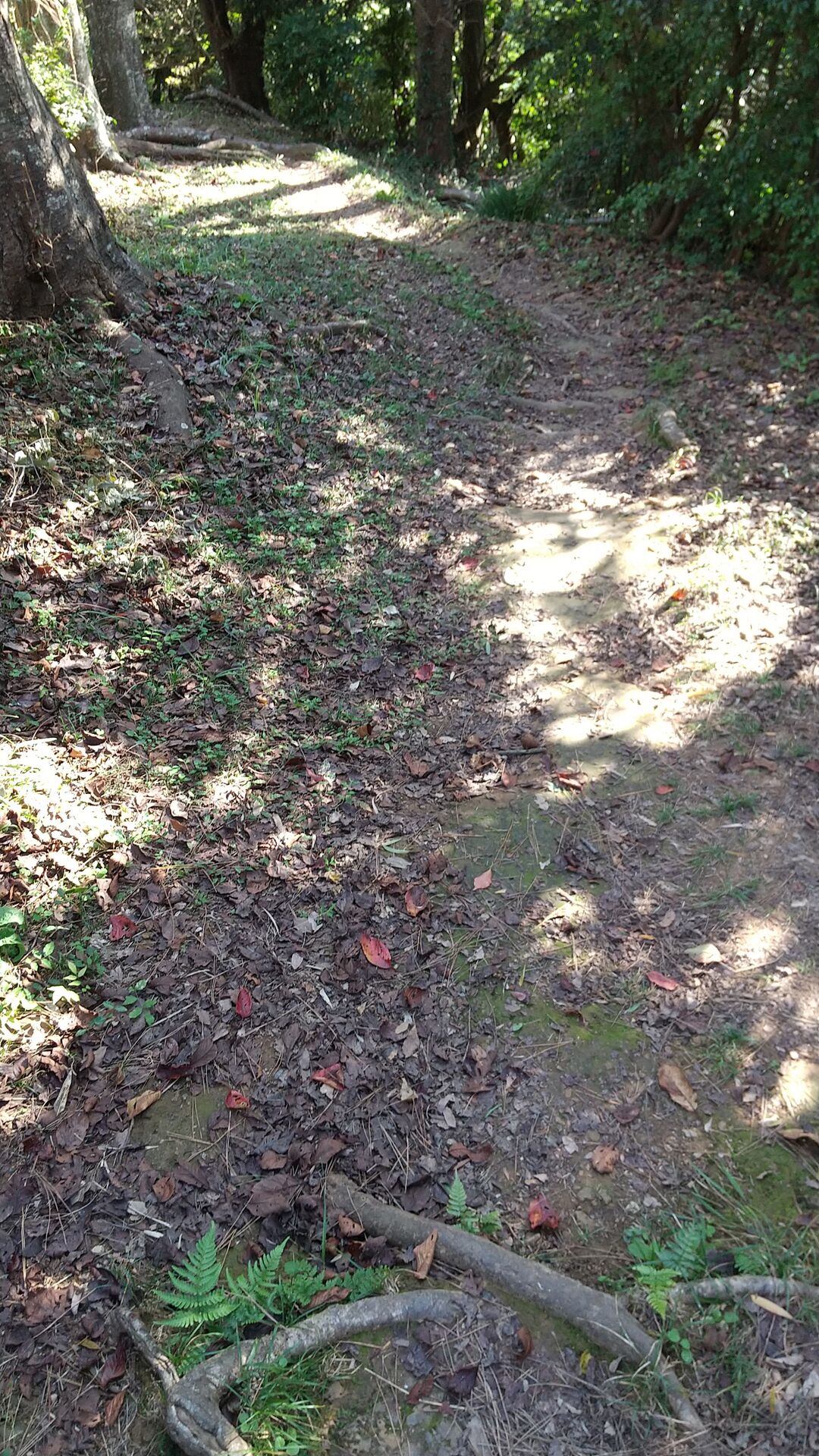 IMG_20211108_134303