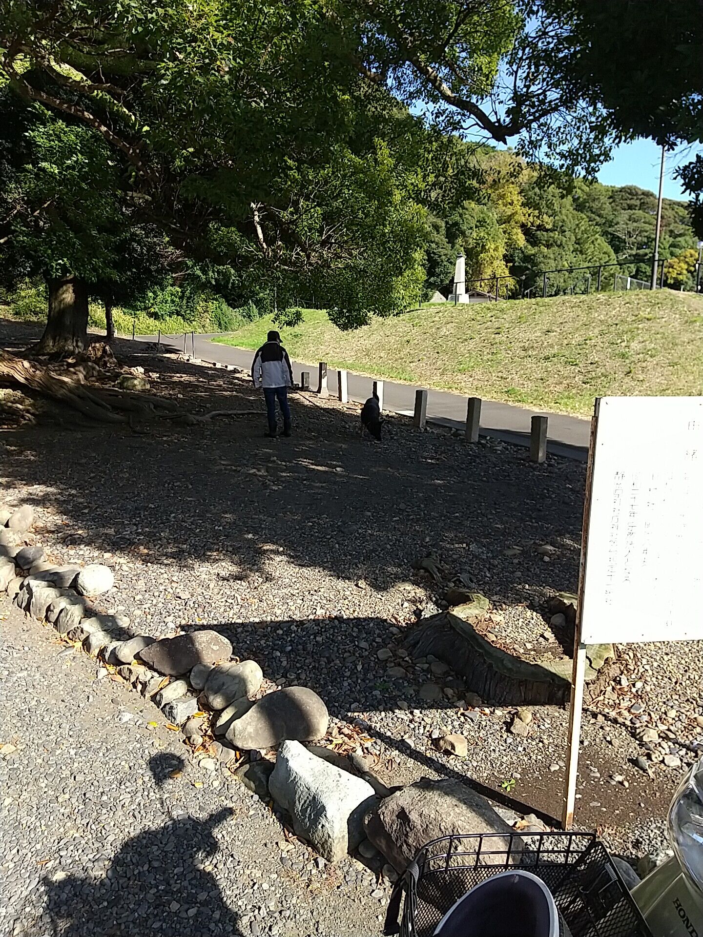 IMG_20221212_120909