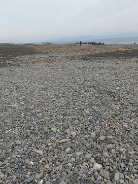 IMG_20201229_141426