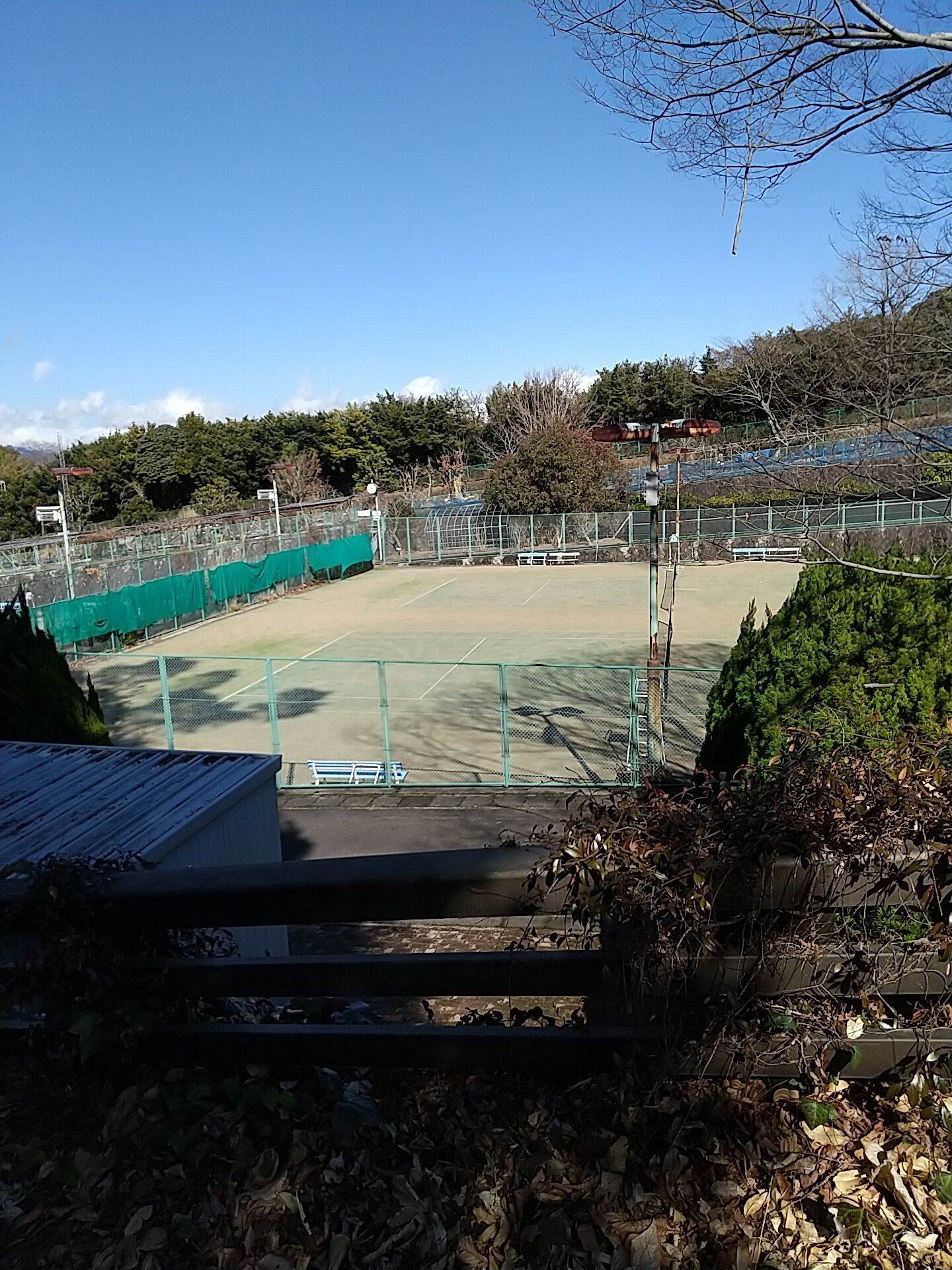 IMG_20220220_131956