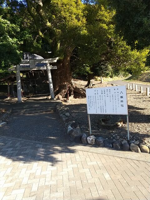 IMG_20230129_091303