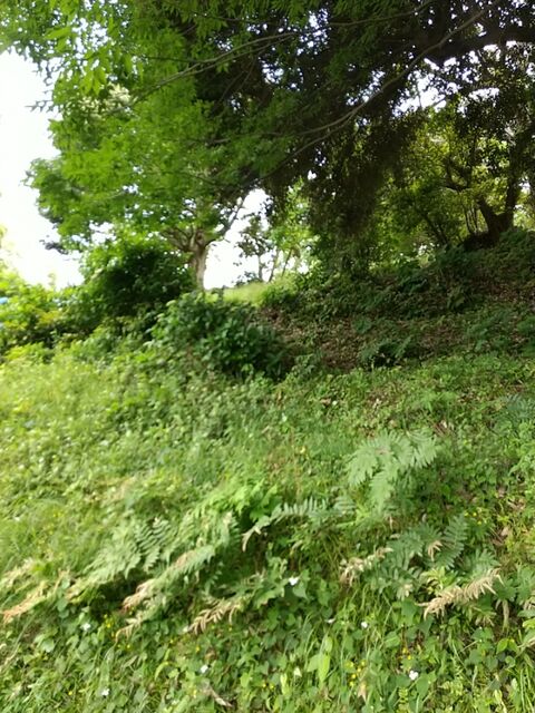 IMG_20220522_142021