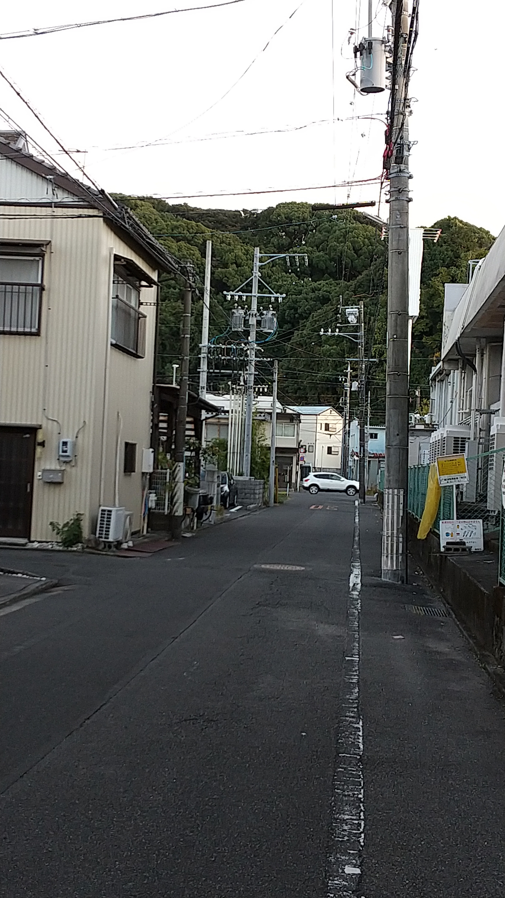 IMG_20211114_161316