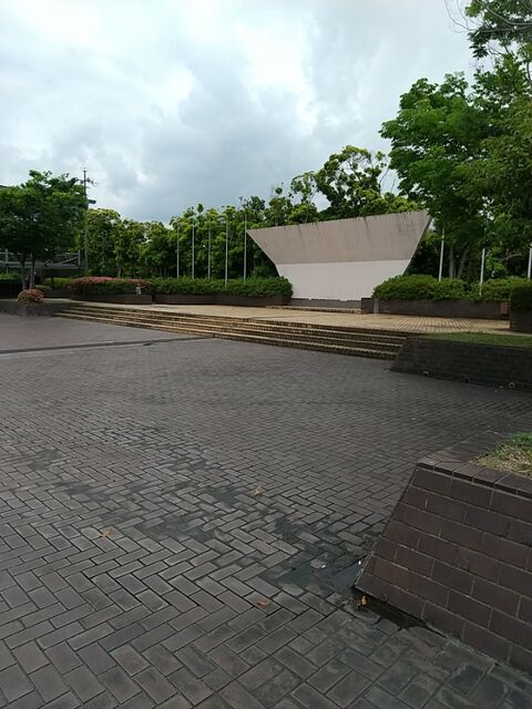 IMG_20220522_104409