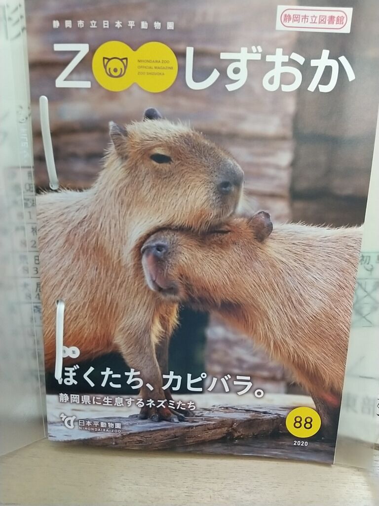 Zooしずおかのお知らせ のりたかblog Zooしずおかのお知らせ のりたかblog