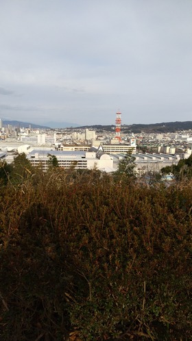 IMG_20210126_151400