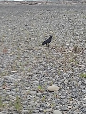 IMG_20210901_150619