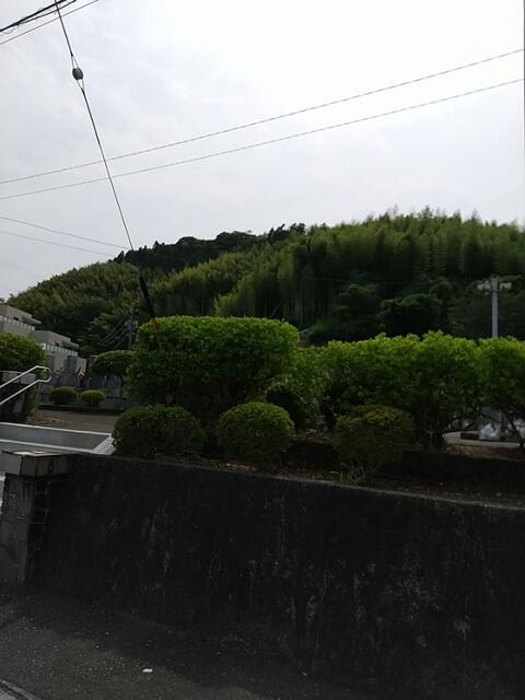 IMG_20220619_140833