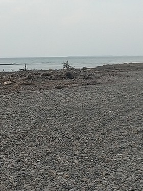 IMG_20210901_143117