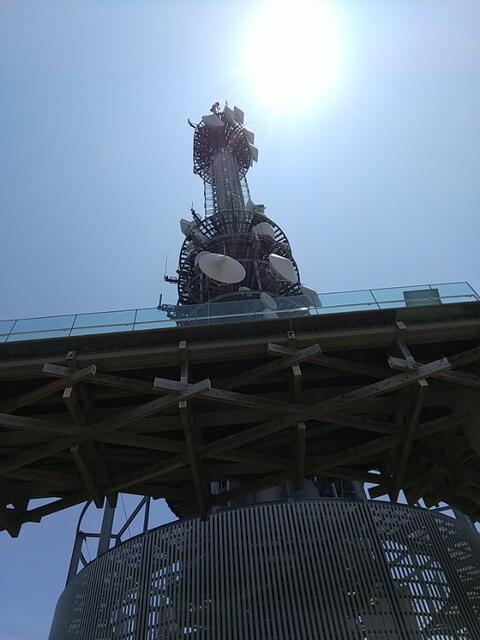 IMG_20220609_115141