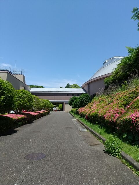 IMG_20220525_121751