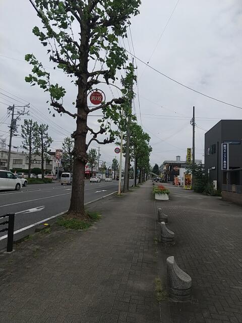 IMG_20220820_122716