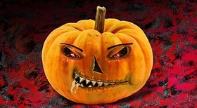 pumpkin-1687152__180