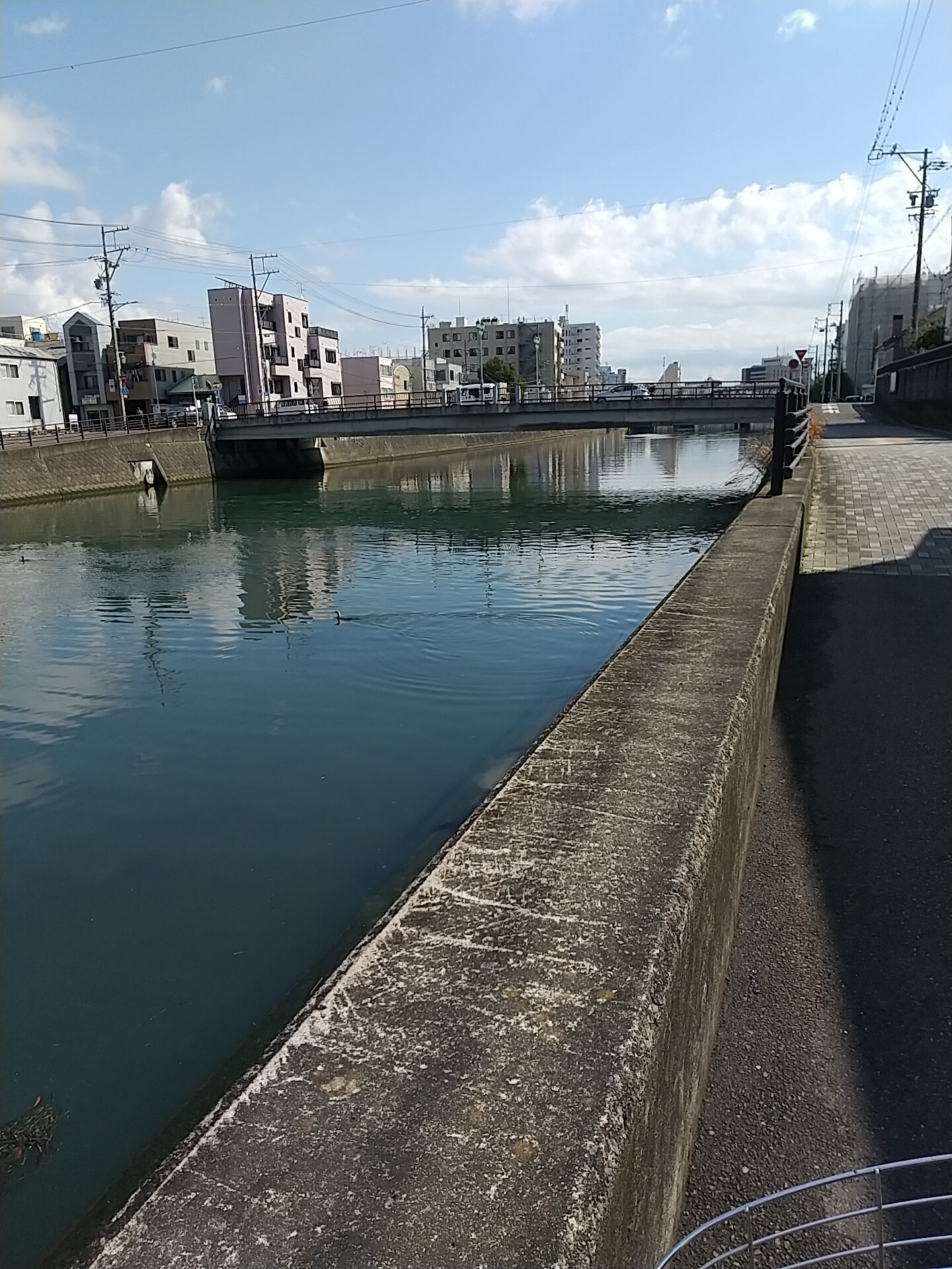 IMG_20230225_111700