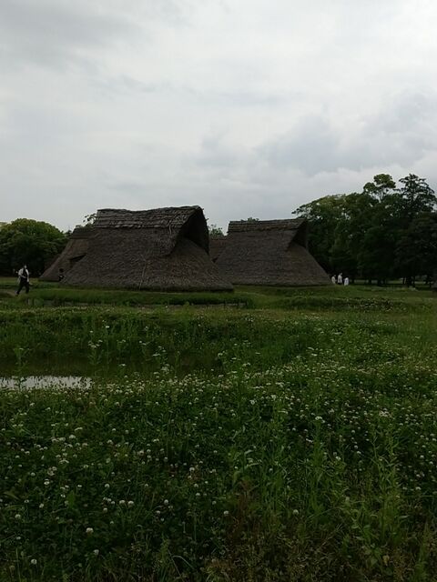 IMG_20220515_140430