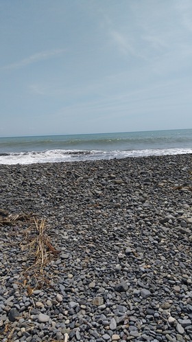 IMG_20210423_114252